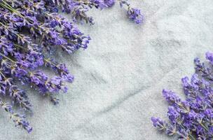 vers lavendel bloemen Aan een kleding stof achtergrond. foto