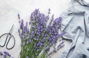 bundel van lavendel Aan beton achtergrond foto