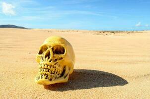 plastic schedel in de zand foto