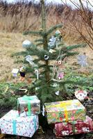 foto van een jong leven Kerstmis boom versierd met speelgoed en een slinger met cadeaus buitenshuis in de tuin, detailopname