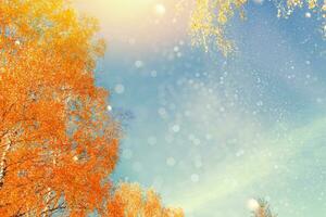 herfstlandschap met helder kleurrijk gebladerte. nazomer. foto