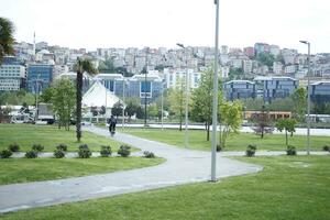 kalkoen Istanbul 19 juni 2023. stad parken met weglopen Bij vroeg ochtend- foto