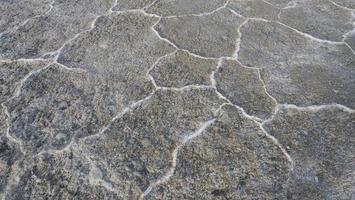 natuur barst grond achtergrond textuur in smaragd zoutmeer china foto