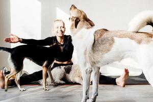 gelukkige jonge blonde vrouw met haar honden in de thuisgymnastiek