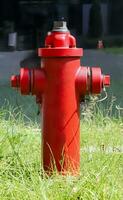 rood brand hydrant in een weide foto