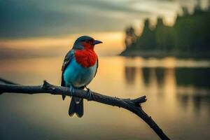 een rood en blauw vogel zit Aan een Afdeling in de buurt de water. ai-gegenereerd foto