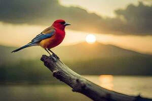 een rood vogel zit Aan een Afdeling in voorkant van de zon. ai-gegenereerd foto