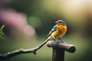 een blauw en oranje vogel zittend Aan een houten na. ai-gegenereerd foto