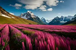 de lupine veld- in de bergen. ai-gegenereerd foto