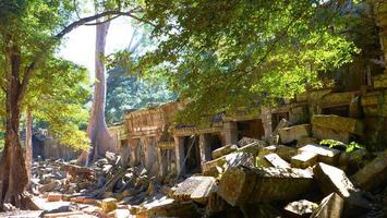 ta prohm tempel in angkor wat complex, siem reap cambodja. foto