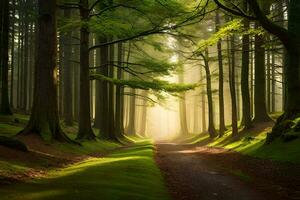 een pad door een Woud met bomen en zonnestralen. ai-gegenereerd foto