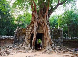 ta som tempel, siem oogst Cambodja. deur poort jungle boom luchtwortels foto