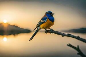 een blauw en geel vogel zit Aan een Afdeling in voorkant van de zon. ai-gegenereerd foto