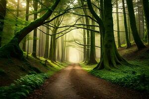 een pad door een groen Woud met bomen. ai-gegenereerd foto