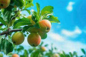 ai gegenereerd appel boom takken, bladeren en fruit detailopname, visie van grond, blauw lucht achtergrond. oogst seizoen foto