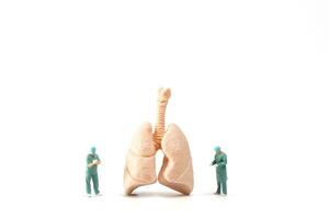 miniatuur dokter controle en analyse longen model- Aan wit achtergrond, wetenschap en geneeskunde concept foto