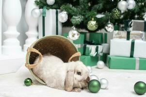 een Kerstmis met hangende oren konijn zit in een mand met ballonnen onder de Kerstmis boom foto
