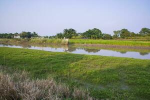 groen velden, weiden, en blauw lucht landschap visie met padma rivier- kanaal in Bangladesh foto