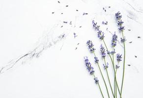 lavendel op een marmeren achtergrond foto
