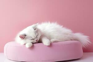 kat slaap Aan roze kussen in een leven kamer, roze achtergrond ,ai gegenereerd foto