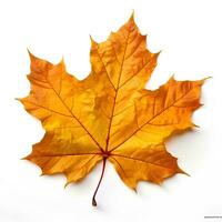 herfst bladeren Aan geïsoleerd wit achtergrond, ai generatief foto