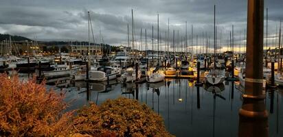 boten Bij de jachthaven in herfst foto