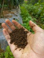 een boer hand- is Holding de bodem naar controleren de kwaliteit van de bodem Aan zijn plantage foto