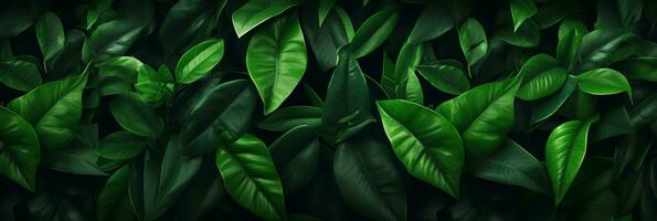 weelderig groen bladeren achtergrond, tropisch gebladerte in natuur. ai generatief foto