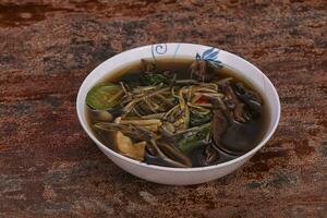Thaise stijl soep met vlees en champignons foto