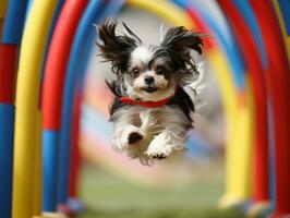 pittig hond racing door een behendigheid Cursus ai generatief foto