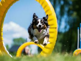 pittig hond racing door een behendigheid Cursus ai generatief foto