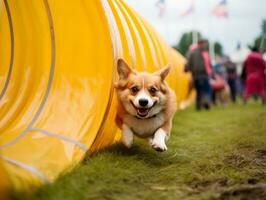 pittig hond racing door een behendigheid Cursus ai generatief foto