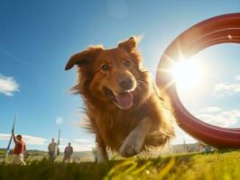 pittig hond racing door een behendigheid Cursus ai generatief foto