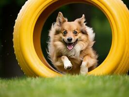 pittig hond racing door een behendigheid Cursus ai generatief foto