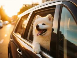 gelukkig hond rijden in een auto met haar hoofd uit de venster ai generatief foto