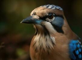 gaai vogel portret ai gegenereerd foto