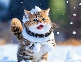 hoogtepunt de vreugde van een schattig kat ervaren haar eerste stuiten op met sneeuw, winter concept foto