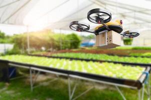 hydrocultuur groenten landbouw drone op moderne boerderij binnenshuis