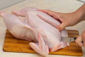 vrouw hand- snijdend geheel rauw kip foto
