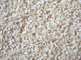 medium korrelige rijst geteeld in Noord-Italië foto