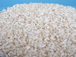 medium korrelige rijst geteeld in Noord-Italië foto