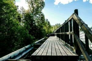 brug in het bos foto