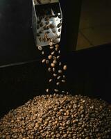 koffie bonen vallen Bij hoog snelheid van de roosteren machine op een stapel van geroosterd bonen. bevriezing hoog Luik snelheid foto van koffie bonen gegoten van een koffie Boon verwerken machine