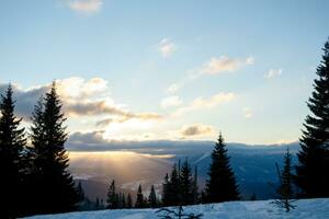 ski piste en stoel optillen met sneeuw gedekt bomen Aan zonnig dag. foto
