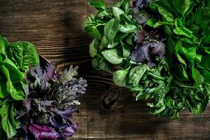 verscheidenheid van vers biologisch kruiden Aan houten achtergrond. vers geoogst kruiden inclusief basilicum, rucola. top visie. kopiëren ruimte. foto