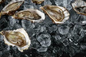 vers geopend oesters in ijs Aan een zwart steen getextureerde achtergrond. top visie. detailopname schot. foto