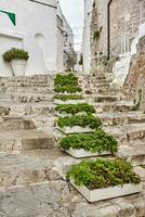 geweldig architectuur van de oud stad- ostuni, bari, Italië. foto