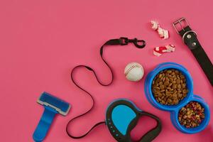 hond accessoires Aan roze achtergrond. top visie. huisdieren en dieren concept foto