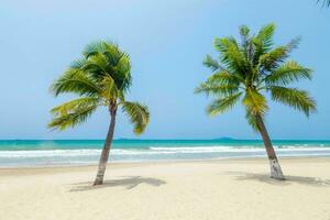 rustig tropisch strand met palm bomen en blauw zee. foto