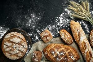 eigengemaakt rogge brood besprenkeld met meel en divers granen en zaden Aan een zwart achtergrond met aartjes van tarwe of rogge en haver. foto